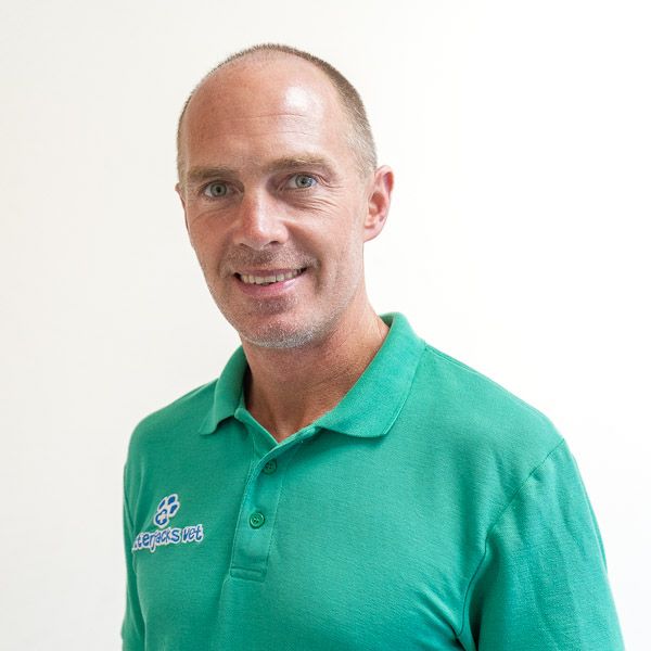 Andy M