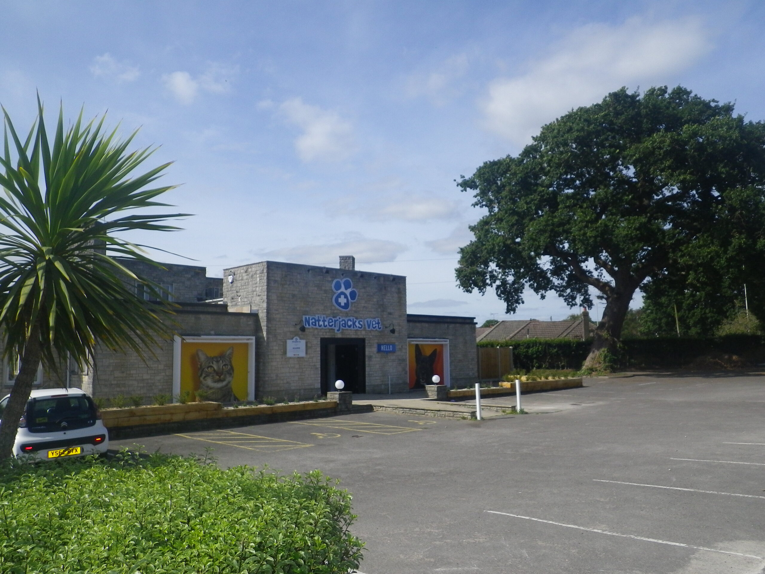 Natterjacks Vets, Poole